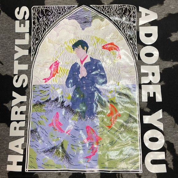 Harry Styles with DYI bleach dye - Picture 2 of 2